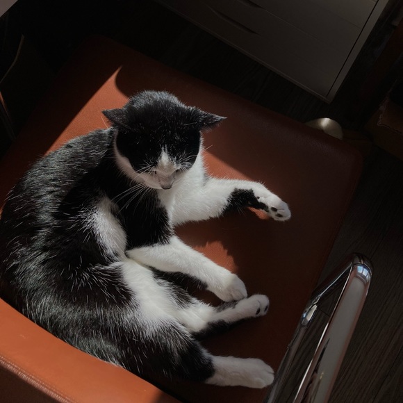 Meet your Posher, Jenn - Picture 4 of 4